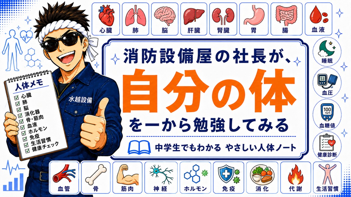 自分の体を一から勉強してみた